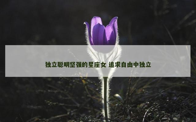 独立聪明坚强的星座女 追求自由中独立