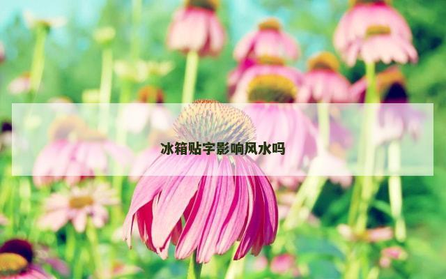 冰箱贴字影响风水吗
