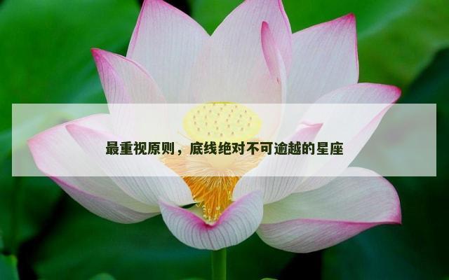 最重视原则，底线绝对不可逾越的星座