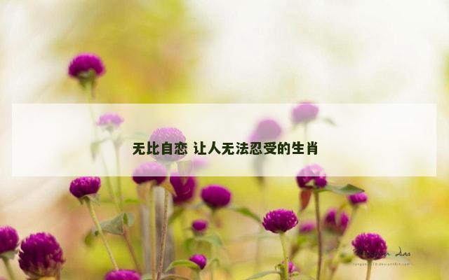 无比自恋 让人无法忍受的生肖