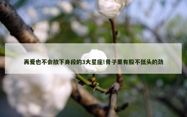 再爱也不会放下身段的3大星座!骨子里有股不低头的劲