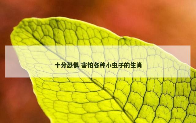 十分恐惧 害怕各种小虫子的生肖