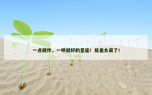 一点就炸，一哄就好的星座！反差太萌了！