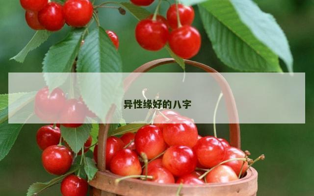 异性缘好的八字