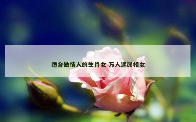 适合做情人的生肖女 万人迷属相女