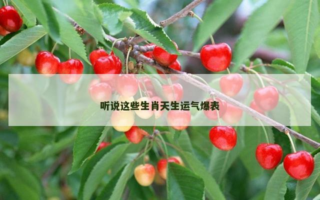 听说这些生肖天生运气爆表