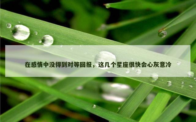 在感情中没得到对等回报，这几个星座很快会心灰意冷