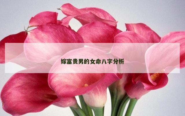 嫁富贵男的女命八字分析