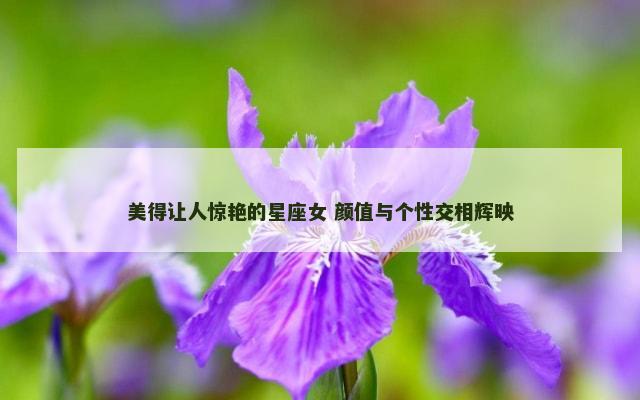 美得让人惊艳的星座女 颜值与个性交相辉映