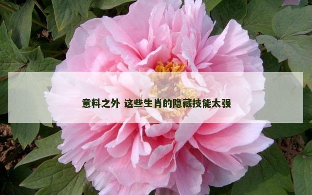 意料之外 这些生肖的隐藏技能太强