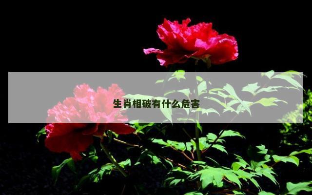 生肖相破有什么危害