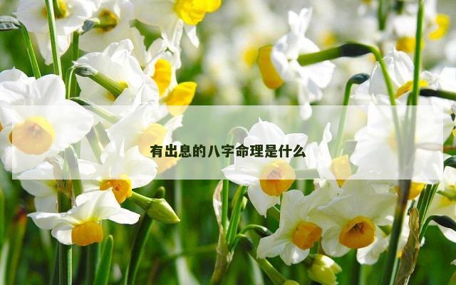 有出息的八字命理是什么