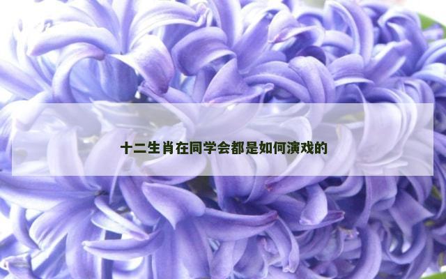 十二生肖在同学会都是如何演戏的