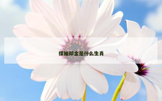 摆袖却金是什么生肖