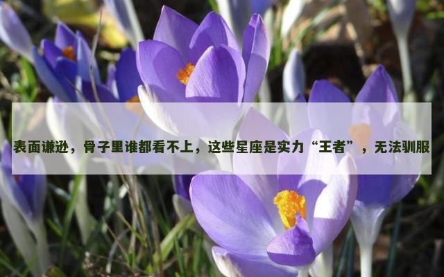 表面谦逊，骨子里谁都看不上，这些星座是实力“王者”，无法驯服