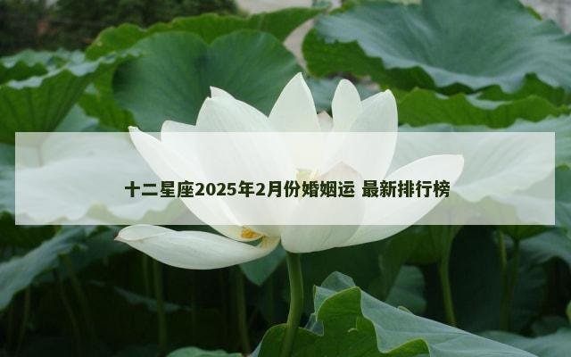 十二星座2025年2月份婚姻运 最新排行榜
