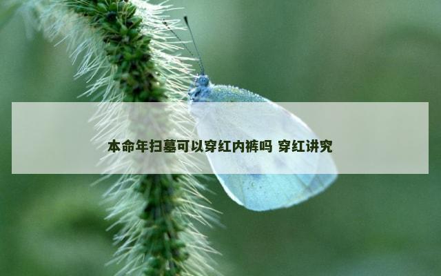 本命年扫墓可以穿红内裤吗 穿红讲究