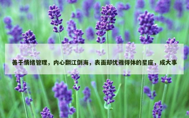 善于情绪管理，内心翻江倒海，表面却优雅得体的星座，成大事