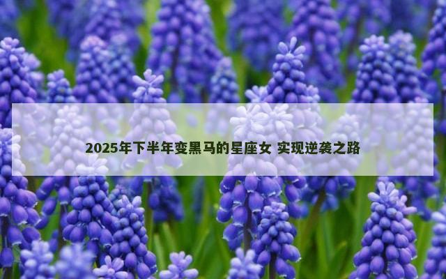 2025年下半年变黑马的星座女 实现逆袭之路