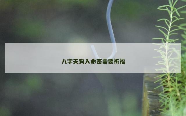 八字天狗入命密需要祈福