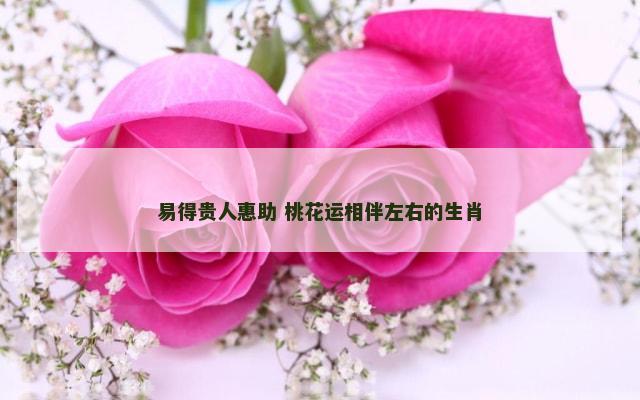 易得贵人惠助 桃花运相伴左右的生肖