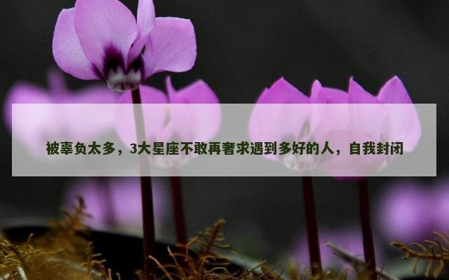 被辜负太多，3大星座不敢再奢求遇到多好的人，自我封闭