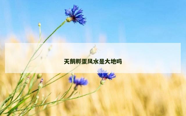 天鹅孵蛋风水是大地吗