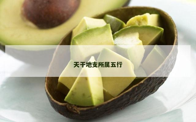 天干地支所属五行
