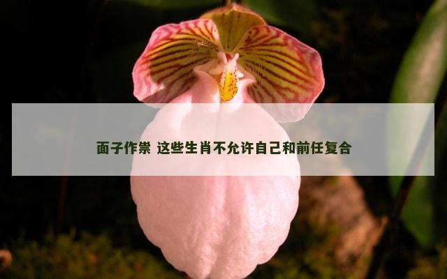 面子作祟 这些生肖不允许自己和前任复合
