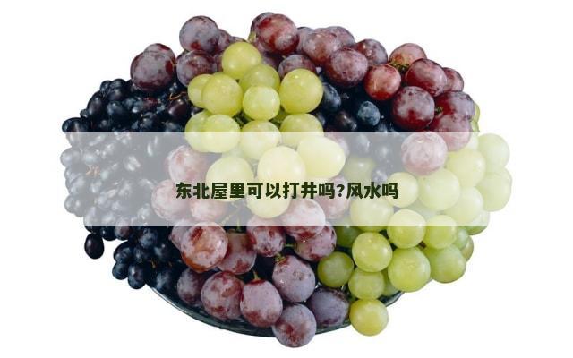 东北屋里可以打井吗?风水吗