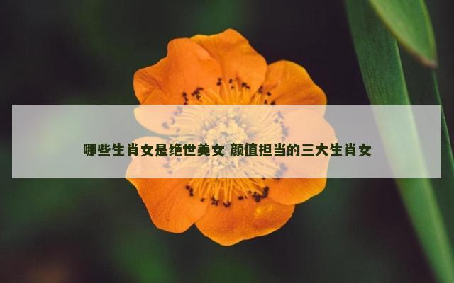 哪些生肖女是绝世美女 颜值担当的三大生肖女