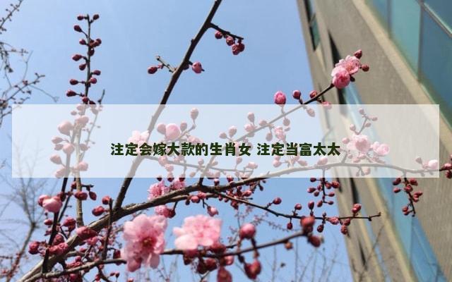 注定会嫁大款的生肖女 注定当富太太