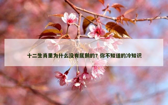十二生肖里为什么没有属鹅的? 你不知道的冷知识