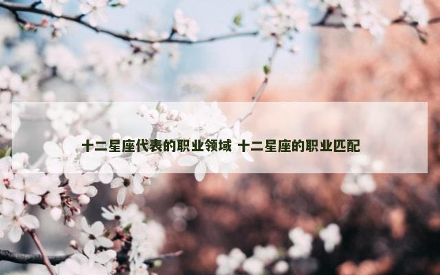 十二星座代表的职业领域 十二星座的职业匹配