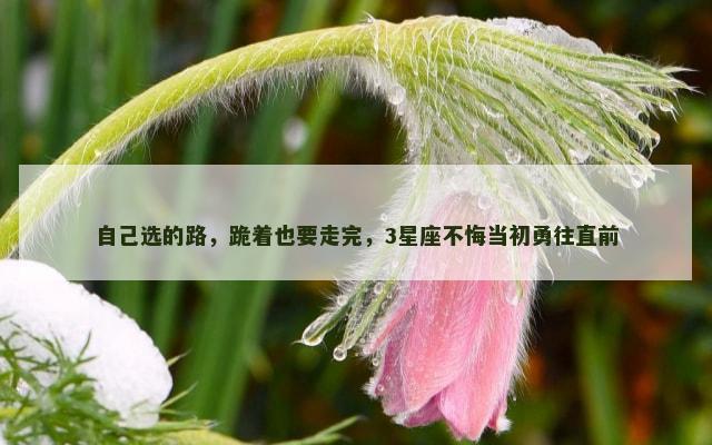 自己选的路，跪着也要走完，3星座不悔当初勇往直前