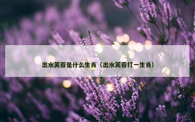 出水芙蓉是什么生肖（出水芙蓉打一生肖）