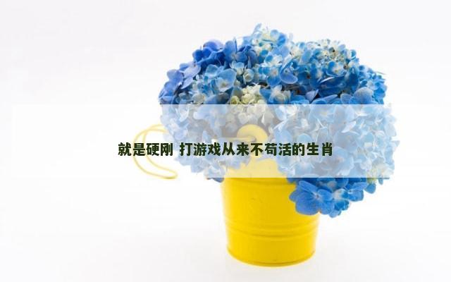 就是硬刚 打游戏从来不苟活的生肖