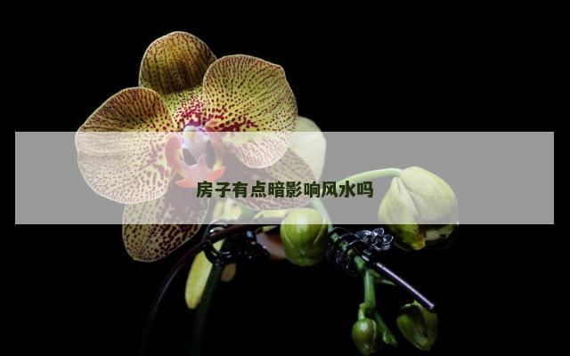 房子有点暗影响风水吗