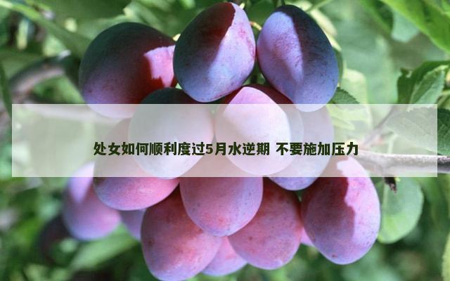 处女如何顺利度过5月水逆期 不要施加压力
