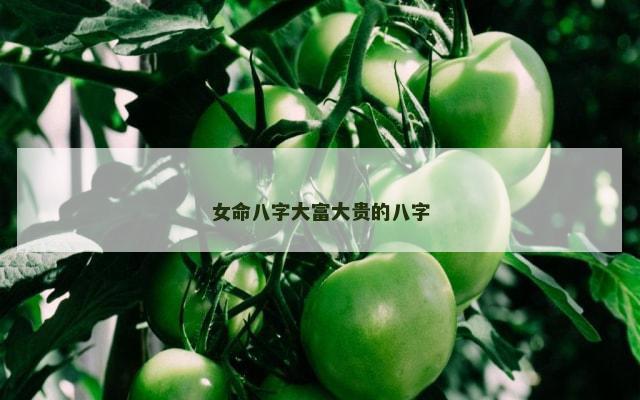 女命八字大富大贵的八字