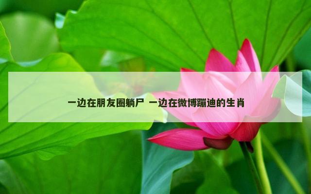 一边在朋友圈躺尸 一边在微博蹦迪的生肖