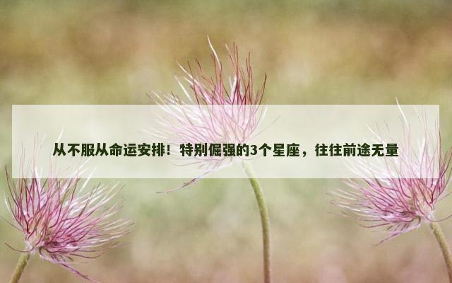 从不服从命运安排！特别倔强的3个星座，往往前途无量