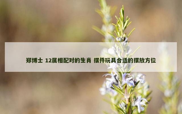 郑博士 12属相配对的生肖 摆件玩具合适的摆放方位