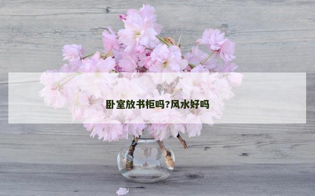 卧室放书柜吗?风水好吗