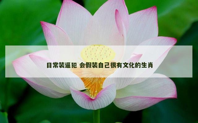 日常装逼犯 会假装自己很有文化的生肖