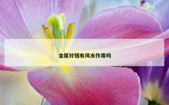 金属铃铛有风水作用吗