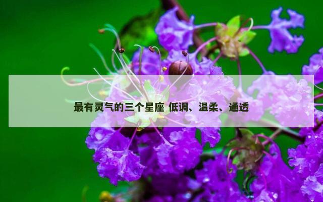 最有灵气的三个星座 低调、温柔、通透