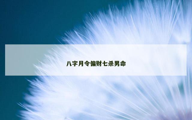八字月令偏财七杀男命