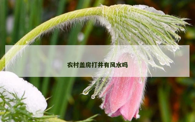 农村盖房打井有风水吗