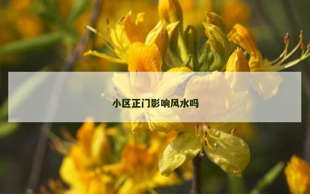 小区正门影响风水吗